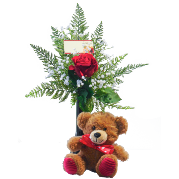 Single Red Silk Rose with Bear Gift Set